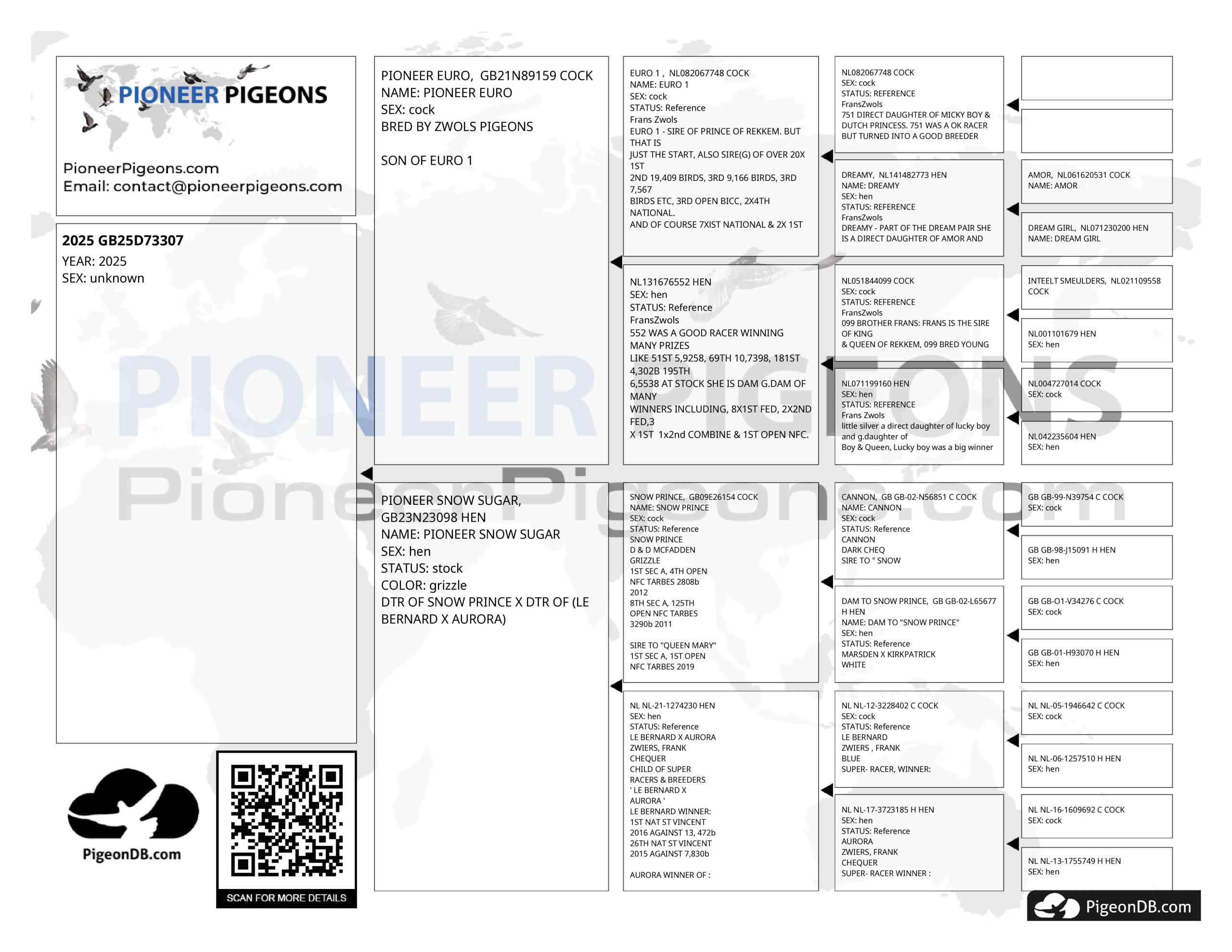 GB25D73307 ♂ McFadden X Frans Zwols. Future Stock. Grandchild of Snow Prince, Euro 1 - Image 2