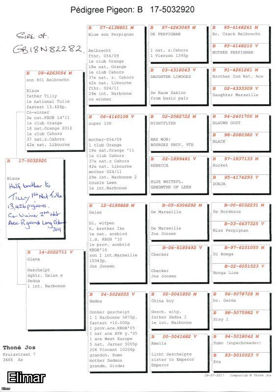 GB18N82282. ♂ Lucia Boy. Son of 1st NFC Carentan bred by D Coward-Talbot - Image 2